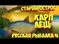 русская рыбалка 4 - Лещ Карп озеро Старый Острог - рр4 фарм Алексей Майоров russian fishing 4