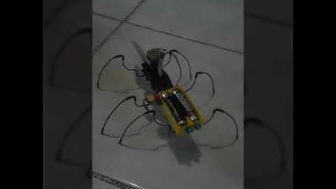 Simple six legged insect robot