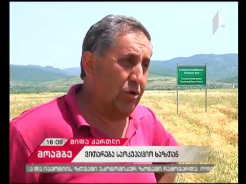 ე.წ. საზღვრის გადაწევის მორიგი ფაქტი - რა ვითარებაა სოფელ ბერშუეთში