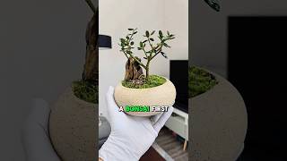 5 Minute Bonsai 😱