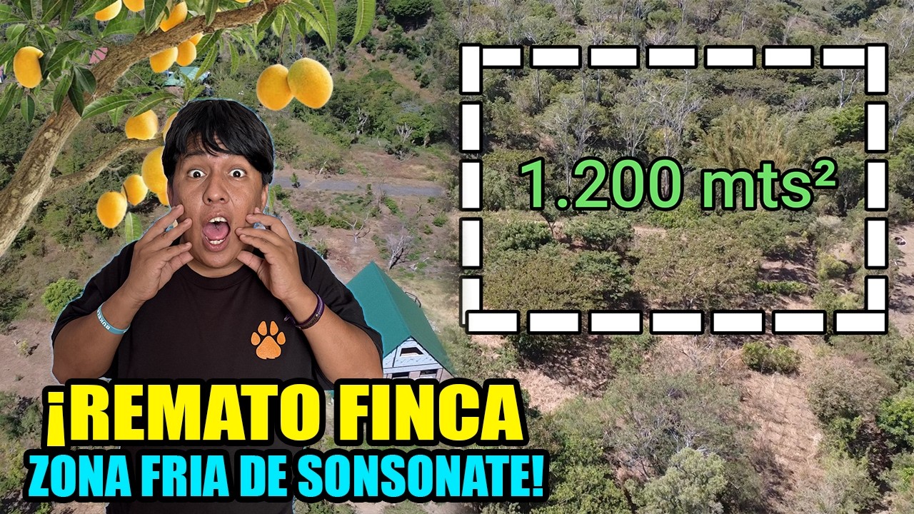 endo FINCA GRANDE en la ZONA FRIA 🥶 de sonsonate 1.200 mts² cultivada con cafe y arboles