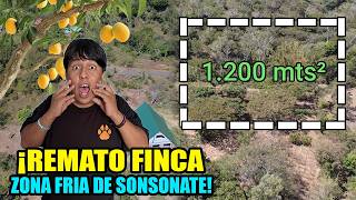 Vendo FINCA GRANDE en la ZONA FRIA 🥶 de sonsonate 1.200 mts² cultivada con cafe y arboles