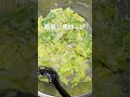 キャベツの簡単サラダ　副菜にピッタリ！#キャベツ　#サラダ#卵