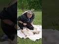 What To Do When A Puppy Bites You What To Do When A Puppy Bites You