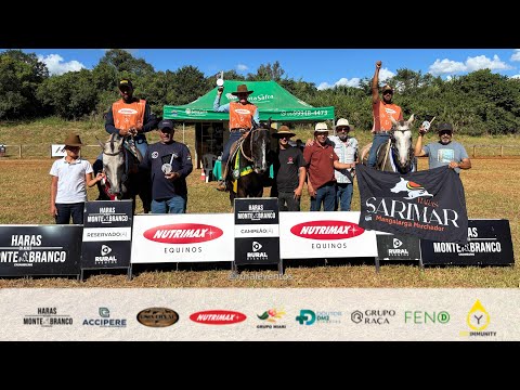 Égua jovem de marcha batida