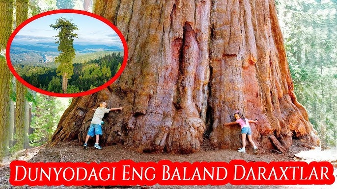 Ehtirosli guruh jinsiy aloqaga aylanadigan buzuq partiya Lezbiyen anal