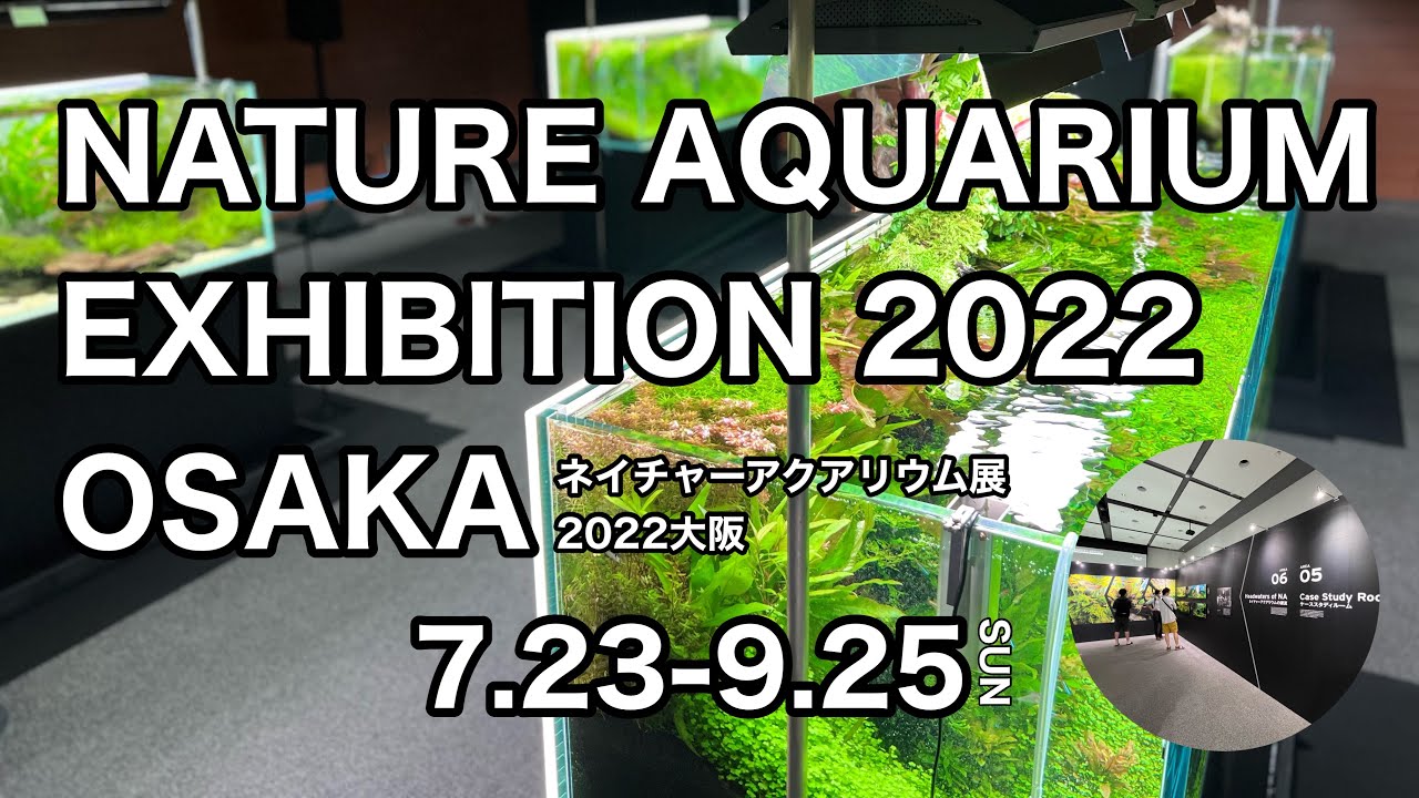 THE NATURE AQUARIUM ADA CONCEPT 1995年発行 THE NATURE AQUARIUM ADA