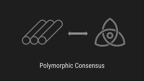 Polymorphic Consensus Blockchains: [demo: switch from RAFT to Tendermint consensus by governance]