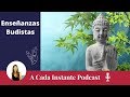 Podcast - Enseñanzas Budistas que te harán sentir mejor Ahora Mismo