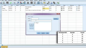 Enter data and define variables in SPSS