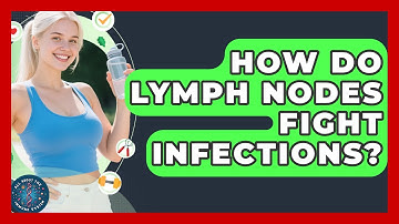 How Do Lymph Nodes Fight Infections? - All About the Immune System