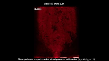 Bi-Stability and Hysteresis in Transversely Excited Swirling Flows