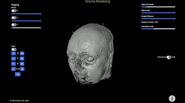Volume rendering in the browser