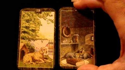 Lenormand Card Combinations for Beginners: The Dog Card