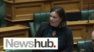 Fresh allegation emerges against Green MP after allegedly intimidating Minister | Newshub