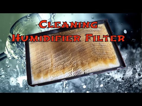 evaporative humidifier filter cleaning