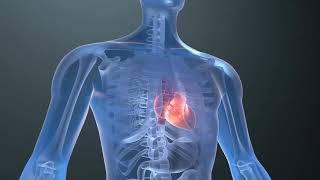 Kas tead, miks D3-vitamiini tuleks võtta koos K2-ga?