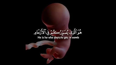 تلاوة عذبة من سورة الرعد - القارئ عبدالرحمن مسعد