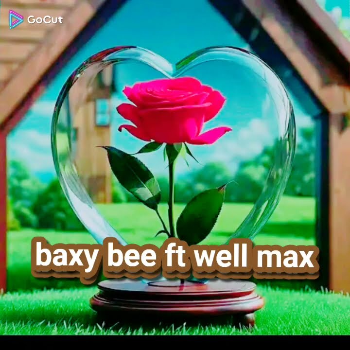 Baxy bee ft wellmax i love u.mp3 download