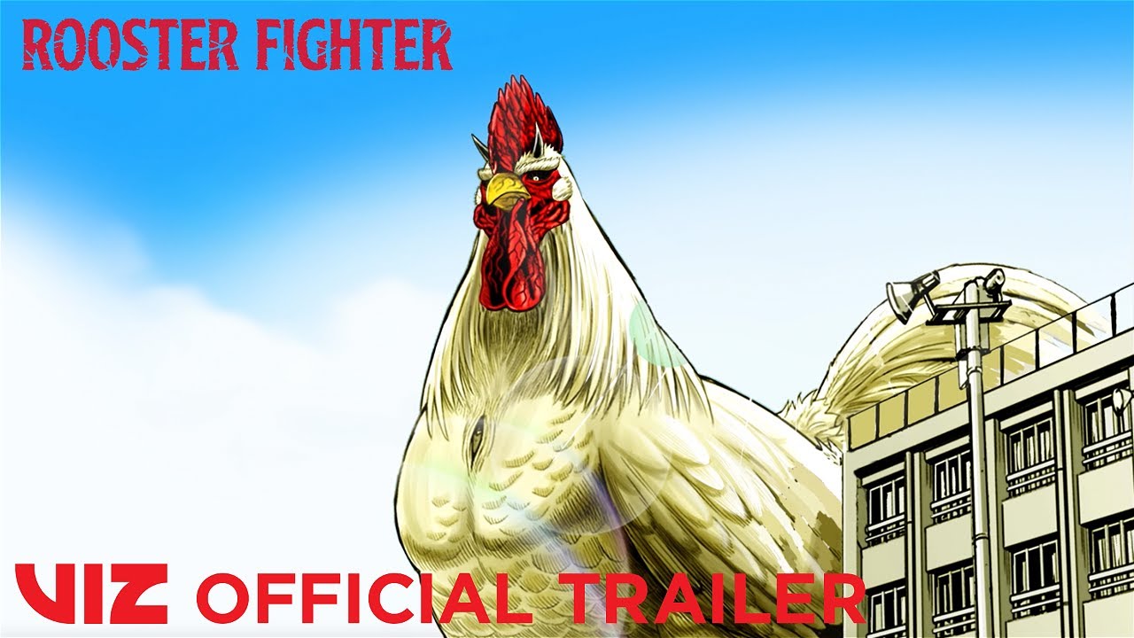 VIZ  The Official Website for Rooster Fighter