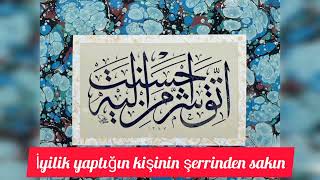 İyi̇li̇k Yaptiğin Ki̇şi̇ni̇n Şerri̇nden Sakin Resimi
