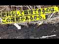 6年間肥料なしで栽培できている理由。ほぼ全ての品目で通用しています！