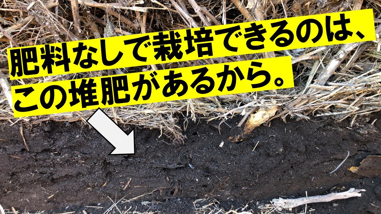 6年間肥料なしで栽培できている理由。ほぼ全ての品目で通用しています！