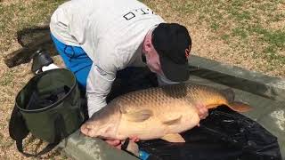 ICL Хорватия 2018 #8