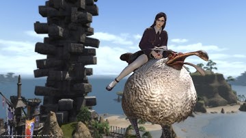 FFXIV Stormblood 4.5: Dodo Mount - late drop right before SHB! (rare drop from Heaven on High)
