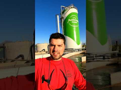 SILO ACONCAGUA FOODS