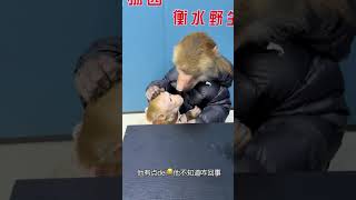 The new classmate is pretty good at it 😂