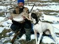 Tavşan ve keklik avlarım iyi  seyirler. rabbit hunting #rabbit #hunting #hunter #rabbithunt
