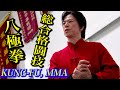 総合格闘技で八極拳を使う方法とは？【宮平保】Bajiquan and Qin-na, how to use in MMA?