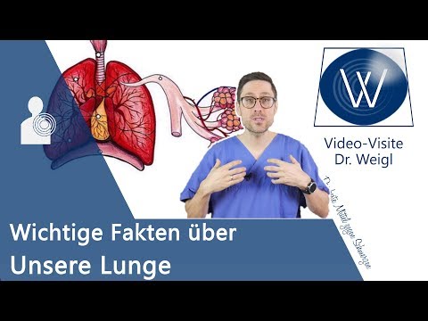 Video: Anatomie, Diagramm Und Funktion Des Atmungssystems - Healthline