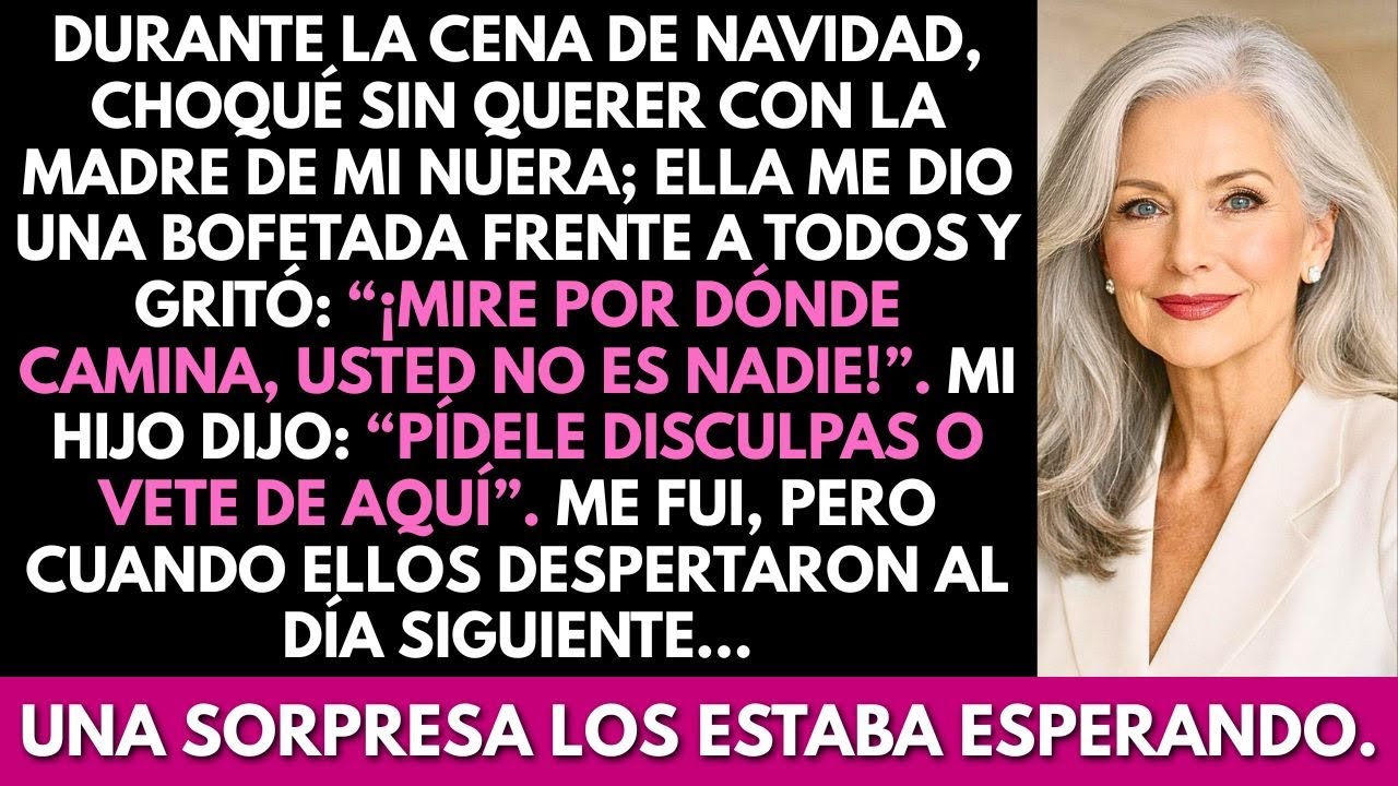 Durante la cena de Navidad, choqué con la madre de mi nuera; ella me abofeteó y mi hijo me humilló.