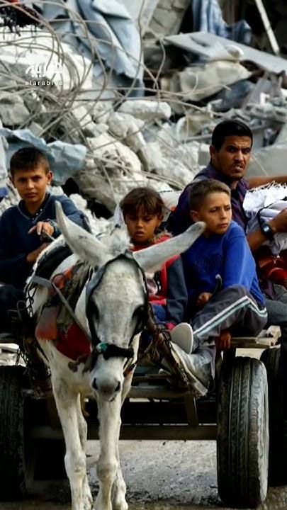         
 - نشر قبل 7 دقيقة