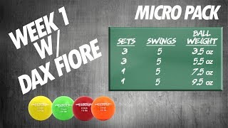 WEEK 1 -  6 Week Progressive Micro Weighted Ball Program