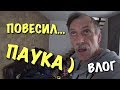 ВЛОГ: Закончились дрова... БОльшой паук...) DIY / Зима на даче