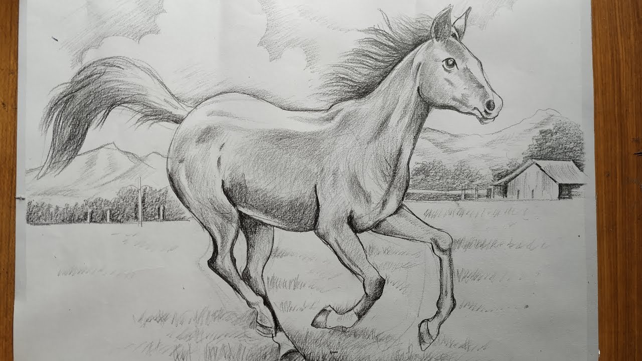 how to draw a horse easy step by step drawing ,pencil sketch ...