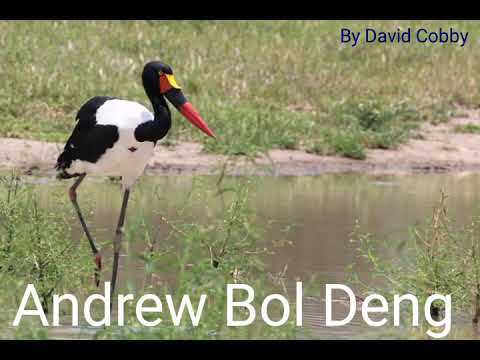 Andrew Bol Deng
