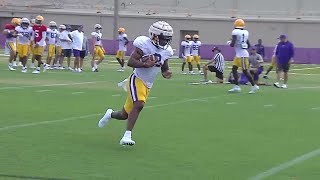 Logan Diggs mother, coach talk about his success at LSU