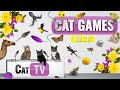 CAT Games | Ultimate Cat TV Compilation Vol 84 | 4 HOURS  🐝🐞🦋🦎🦜🐜🐭🧵