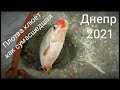 Плотва на Днепре в марте. Зимняя рыбалка на льду 2021.