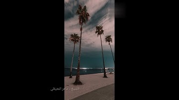 الشيخ - ماهر المعيقلي - سورة - الكافرون
