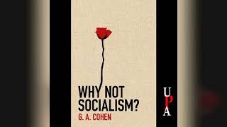 Why Not Socialism? | Audiobook Sample
