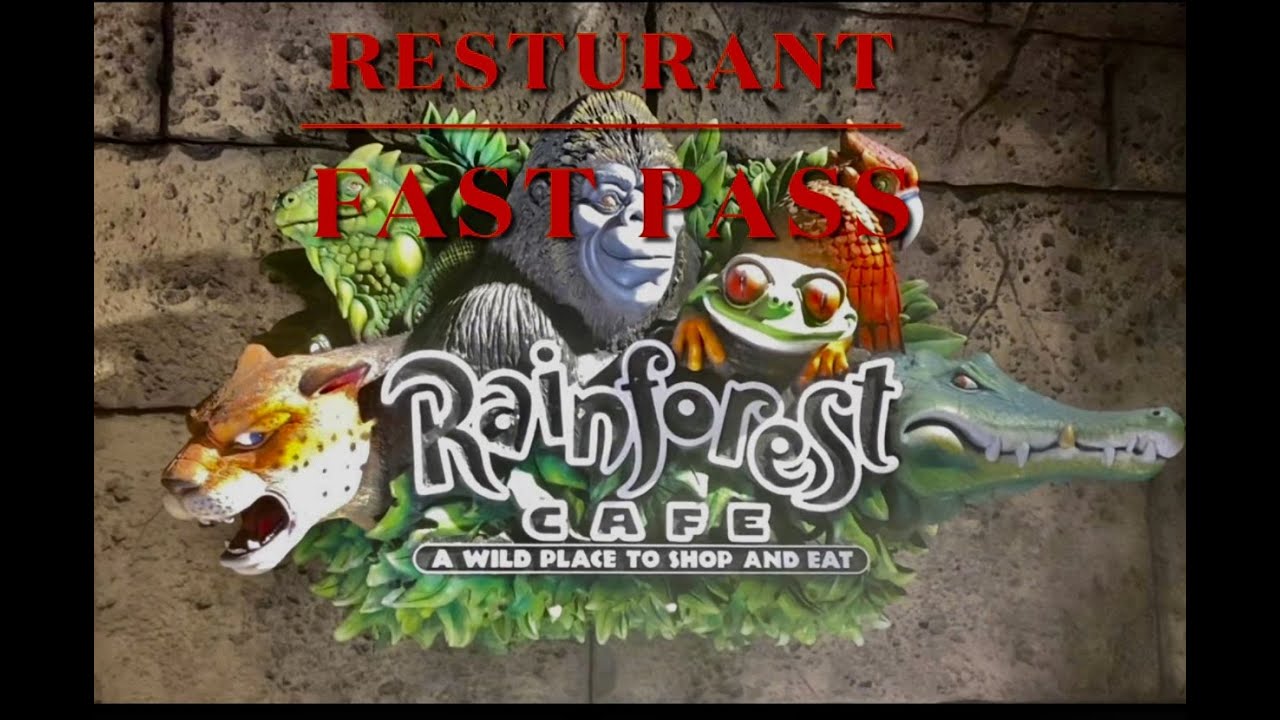 Rainforest cafe  LAVA LOUNGE