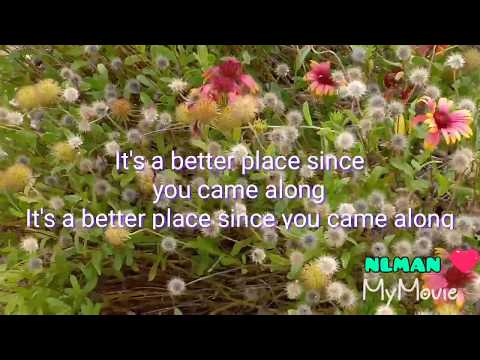 Brega Flowers : Better Place [ Lyrics ] - Rachel Platten