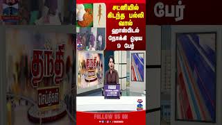Lizards | idly | food | hospital | chengalpattu | chuteny