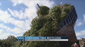 Where You can Recycle Your Christmas Tree