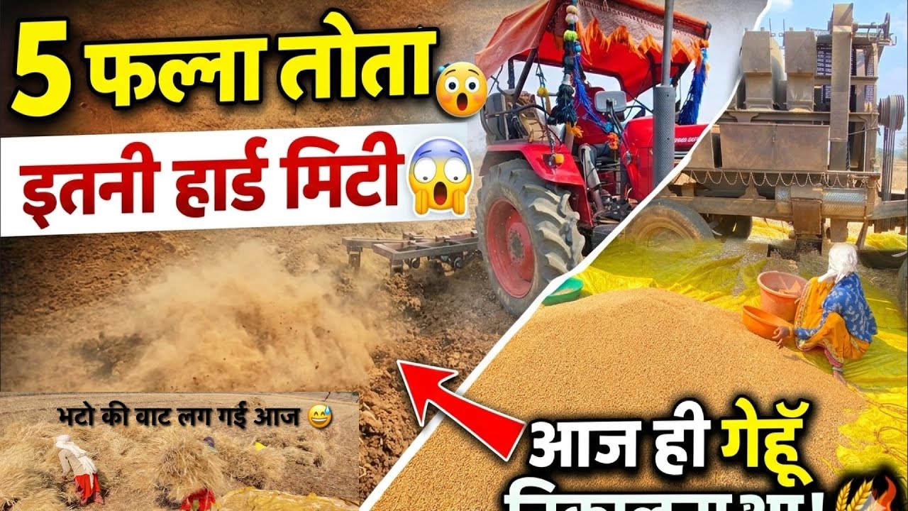 आज तो मेरी बहन भटो की वाट लग गई शाम तक गेहूँ निकलना 😅 Ye Kya Kar Diya 😳 mahindra yuvo tech plus 575
